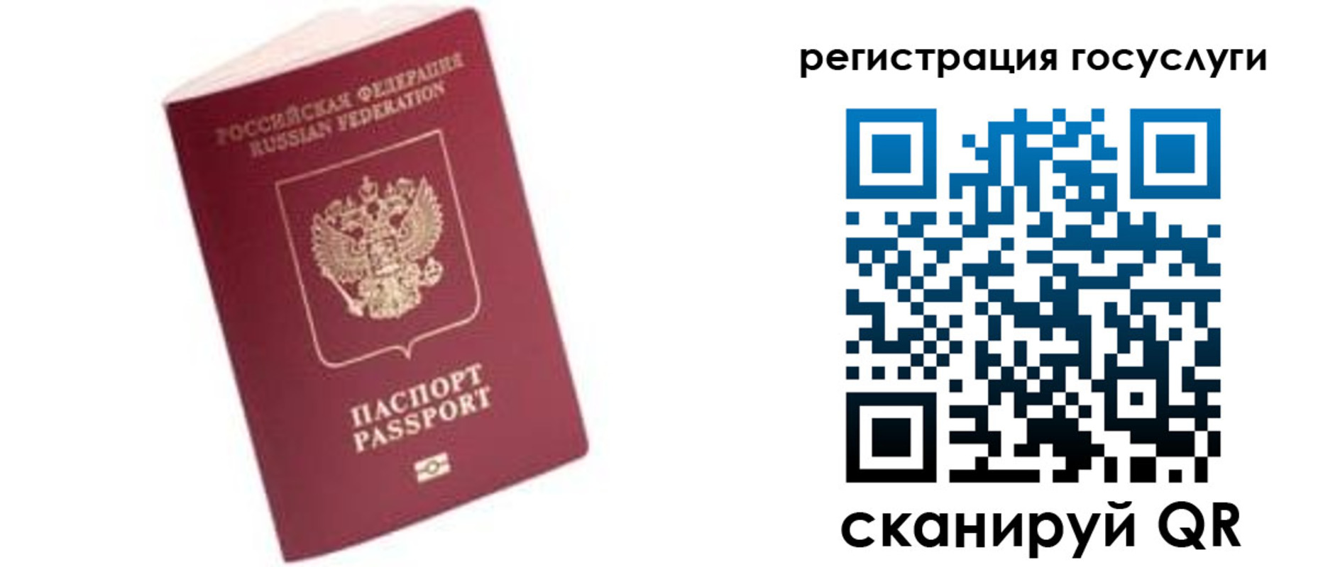 прописка поиск в Тимашёвске